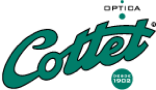 FP online en Audiología Protésica Online