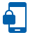 CISO (Chief Information Security Officer)
