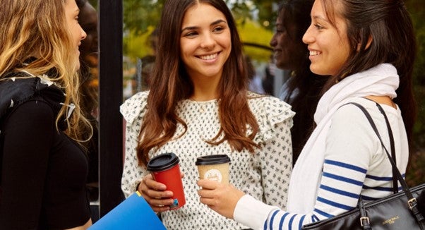 Bachelor of Business Administration. BBA degree in Spain