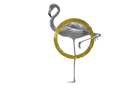 FP Superior Estética y Bienestar a Distancia | Oficial - UAX FP