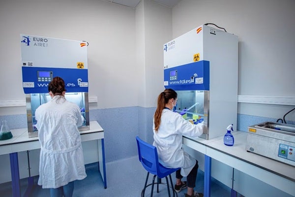 Cursos de experto en salud