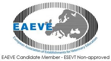 https://d2kd1atb170pxv.cloudfront.net/var/site/storage/images/2/0/5/7/5257502-2-esl-ES/545205705e8c-descarga.jpg