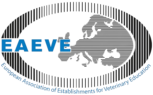 Étude de Vétérinaire en Espagne