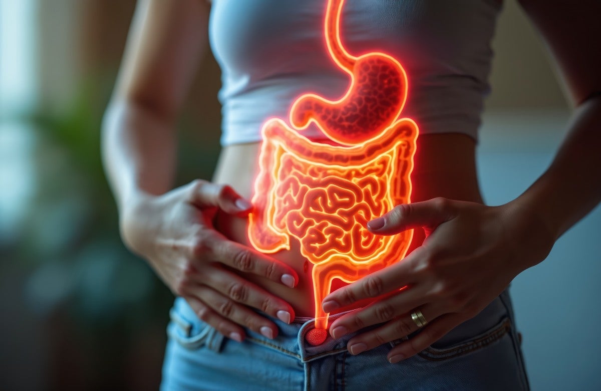 FP Superior en Dietética Online | Oficial - UAX FP