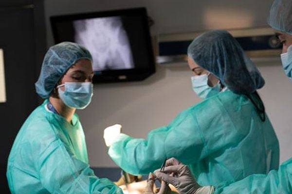 Facultad de Ciencias Biomédicas y de la Salud