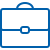 CFO (Chief Financial Officer)