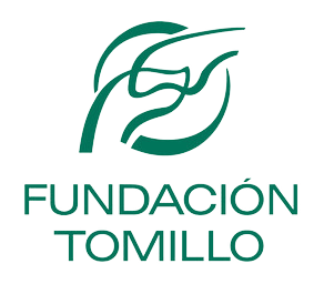 Técnico Superior Online en Integración Social