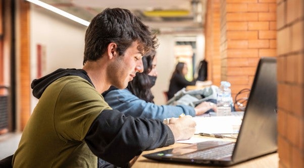 Bachelor of Business Administration. BBA degree in Spain