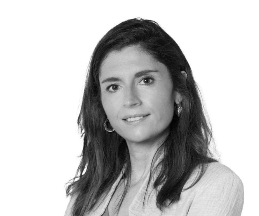 Máster en Dirección y Organización de Proyectos Online - UAX