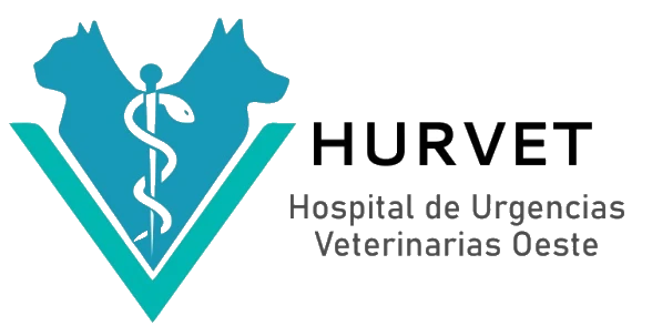 Grado en Veterinaria | UAX