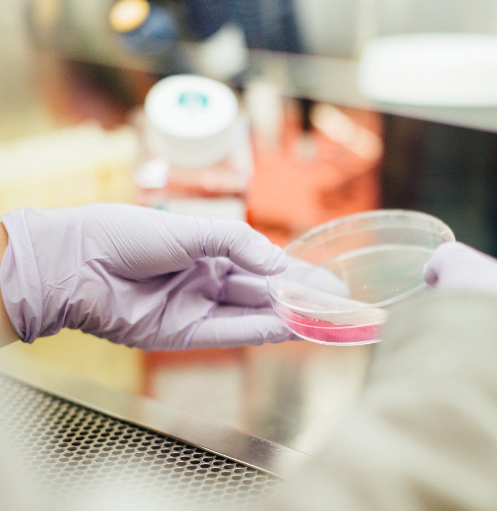 Grado en Biotecnología | Estudiar Biotecnología en Madrid - UAX