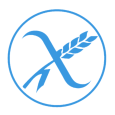 FP Superior en Dietética Online | Oficial - UAX FP