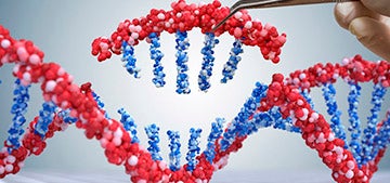 Bachelor Degree in Psychology. Study psychology in Spain