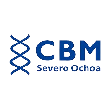 Grado en Biomedicina | Estudiar Biomedicina en Madrid - UAX