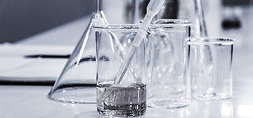 Bachelor Degree in Psychology. Study psychology in Spain