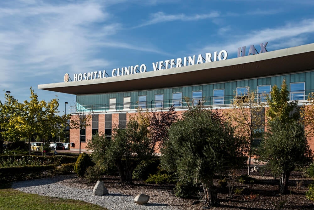 hospital_clinico_veterinario_uax.jpg