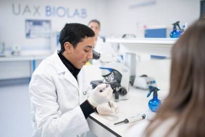 Expert Diploma in Animal Welfare