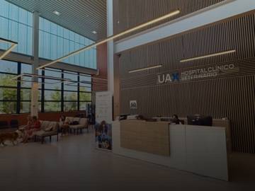 UAX