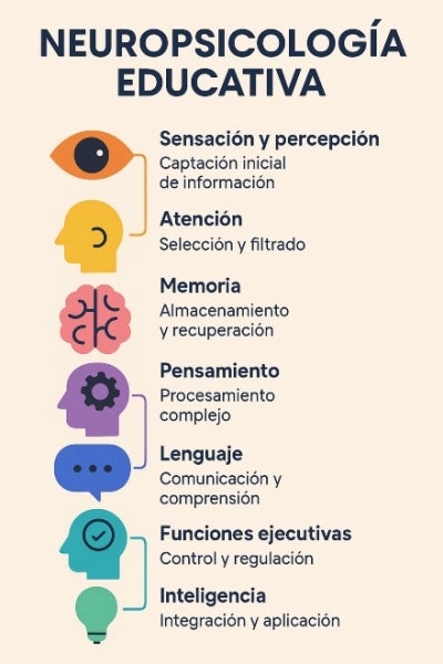 neuropsicologia-educativa.jpg