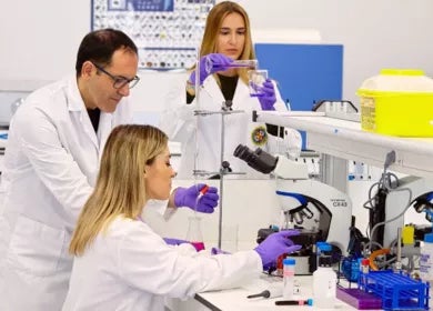 Licence en biomédecine à Madrid