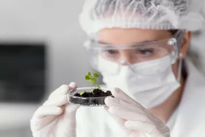 Licence en biotechnologie | UAX