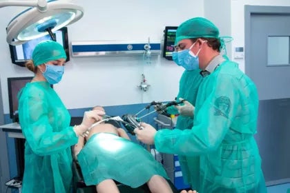 Licence de médecine à Oviedo | UAX