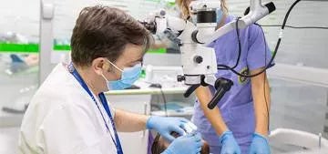 Specialista in endodonzia e odontoiatria restaurativa - Università Alfonso X il Saggio