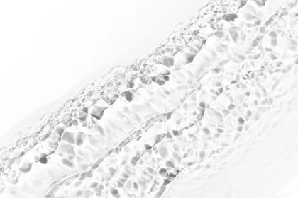 Licence en biotechnologie | UAX