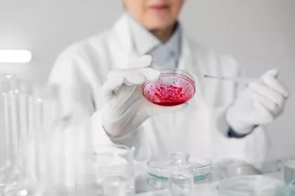 Licence en biotechnologie | UAX