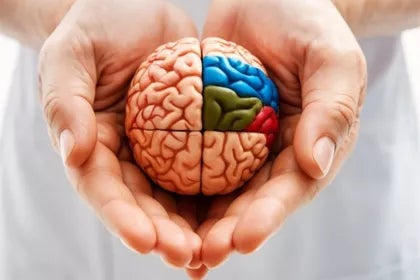 Licence en psychologie | UAX