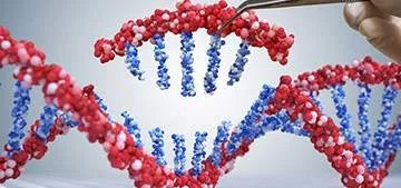 Bachelor’s Degree in Biotechnology - Universidad Alfonso X el Sabio