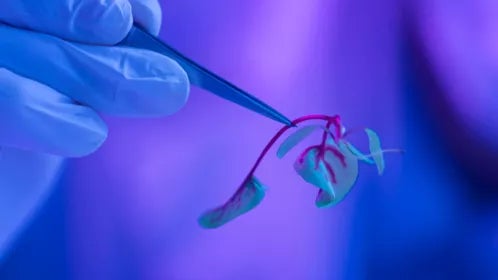 Licence en biotechnologie | UAX