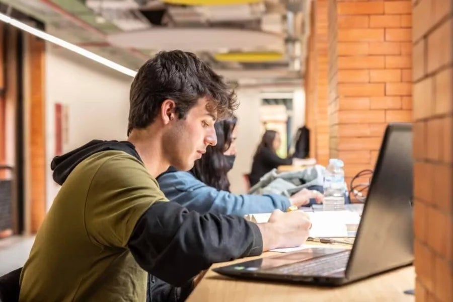 Higher Vocational Training in DAM Online | UAX