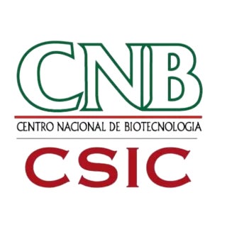 Licence en biomédecine | UAX