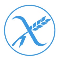 Online Vocational Training in Dietetics from Spain | UAX